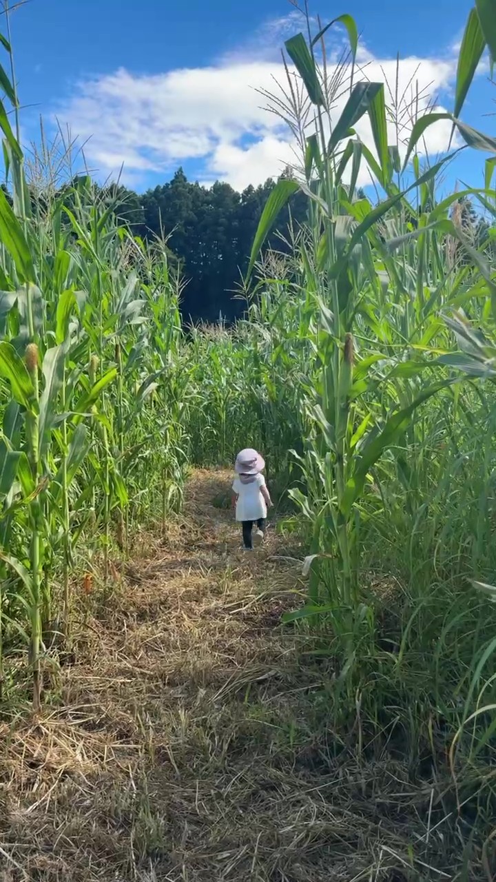 迷路の様子2