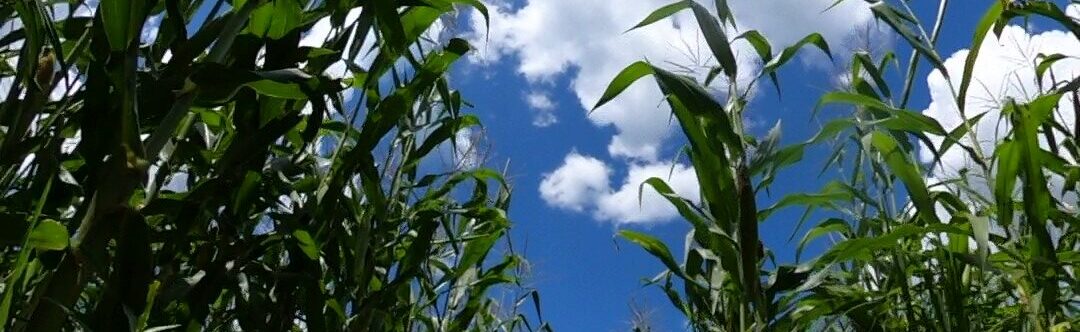 GH010314 - frame at 0m57s